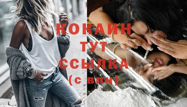 дживик Баксан