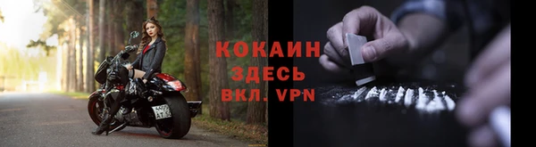 дживик Баксан