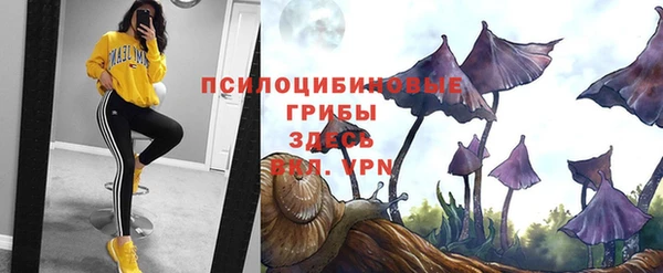 дживик Баксан