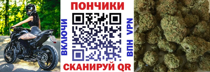 Марихуана сатива Кондрово